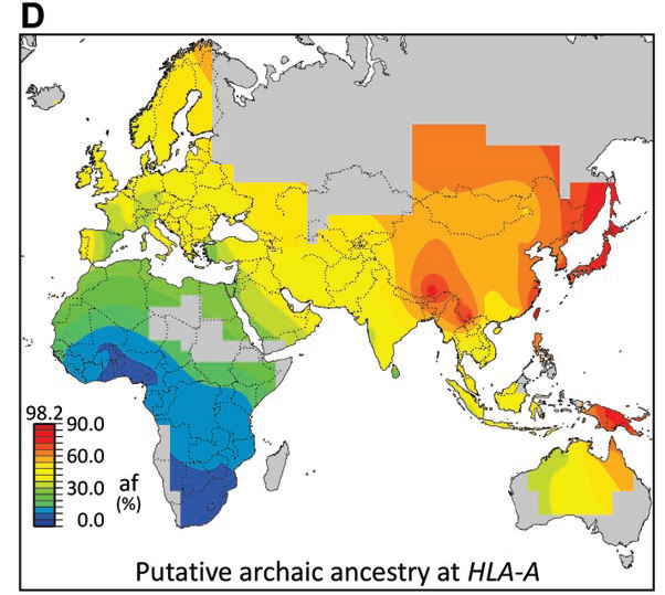 distribución de genes neandertales